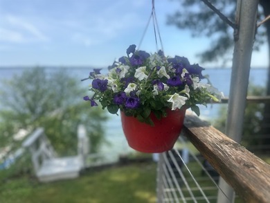 Showings begin 7/4 with Open House. Rare opportunity to enjoy - photo 46