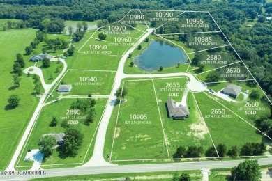 Lake Lot For Sale in Holts Summit, Missouri