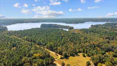 LAKEFRONT DEVELOPMENT OPPORTUNITY -- HOUSTON COUNTY LAKE! - photo 7