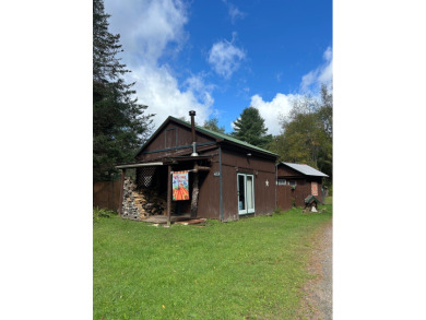 Lake Home For Sale in Dolgeville, New York