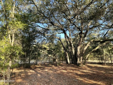(private lake, pond, creek) Acreage For Sale in Chipley Florida
