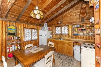 Nostalgic Northwoods Retreat on the shores of Full-Rec Skunk - photo 14