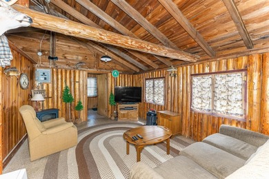 Nostalgic Northwoods Retreat on the shores of Full-Rec Skunk - photo 18