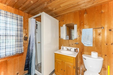 Nostalgic Northwoods Retreat on the shores of Full-Rec Skunk - photo 23