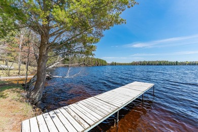 Nostalgic Northwoods Retreat on the shores of Full-Rec Skunk - photo 29