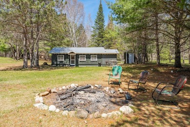 Nostalgic Northwoods Retreat on the shores of Full-Rec Skunk - photo 30