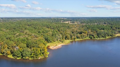 LAKEFRONT DEVELOPMENT OPPORTUNITY -- HOUSTON COUNTY LAKE! - photo 4