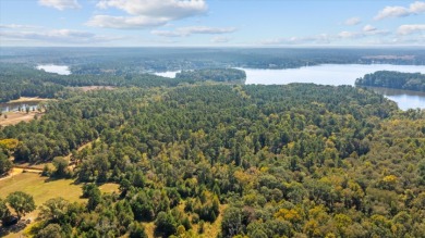 LAKEFRONT DEVELOPMENT OPPORTUNITY -- HOUSTON COUNTY LAKE! - photo 8