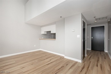 Welcome to 1133 West 9th Street, unit 321. Experience Downtown - photo 6