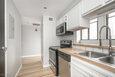 Welcome to 1133 West 9th Street, unit 321. Experience Downtown - photo 9
