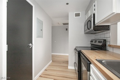 Welcome to 1133 West 9th Street, unit 321. Experience Downtown - photo 10
