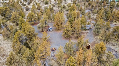 Amazing opportunity to own 4.79 level useable acres nestled in - photo 2