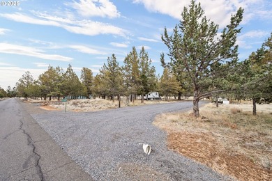 Amazing opportunity to own 4.79 level useable acres nestled in - photo 3