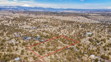 Amazing opportunity to own 4.79 level useable acres nestled in - photo 4