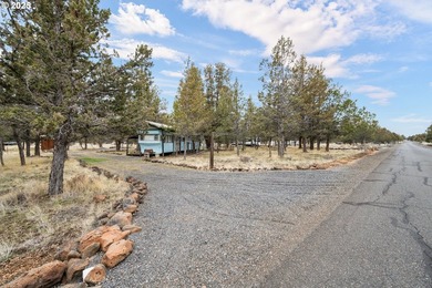 Amazing opportunity to own 4.79 level useable acres nestled in - photo 5
