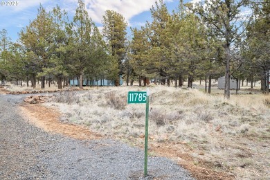 Amazing opportunity to own 4.79 level useable acres nestled in - photo 6