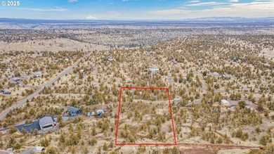 Amazing opportunity to own 4.79 level useable acres nestled in - photo 8
