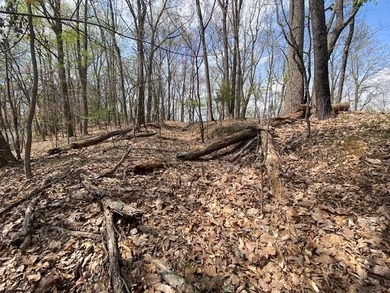 This awesome lot on top of the Ridge looks out over Cherokee - photo 13