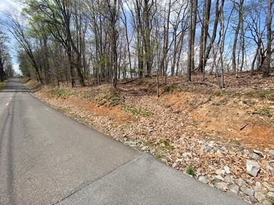 This awesome lot on top of the Ridge looks out over Cherokee - photo 14