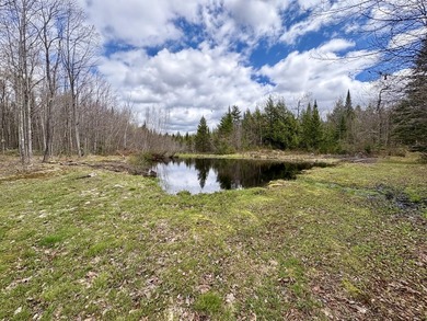 Tucked away at the end of a dead-end road, this off-grid camp - photo 25