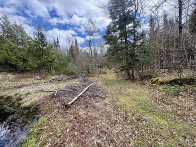 Tucked away at the end of a dead-end road, this off-grid camp - photo 26