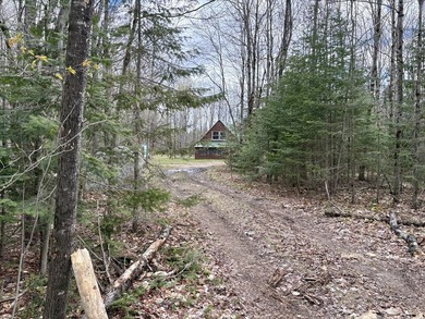 Tucked away at the end of a dead-end road, this off-grid camp - photo 28