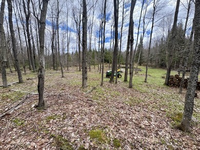 Tucked away at the end of a dead-end road, this off-grid camp - photo 31