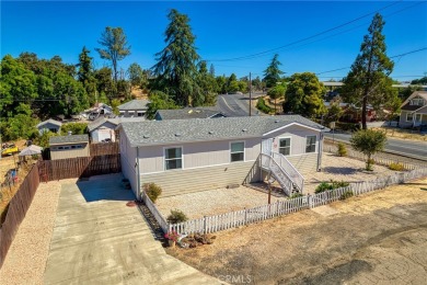 Lake Home For Sale in Lower Lake, California