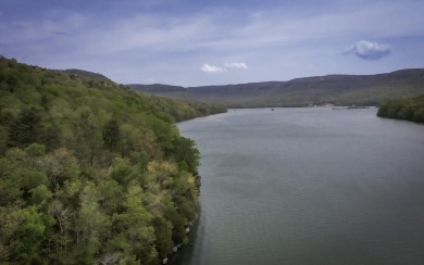 Lake Lot For Sale in Whitwell, Tennessee