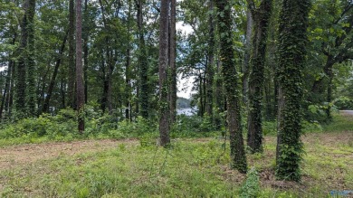 Lake Lot For Sale in Centre, Alabama