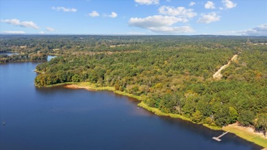 LAKEFRONT DEVELOPMENT OPPORTUNITY -- HOUSTON COUNTY LAKE! - photo 6