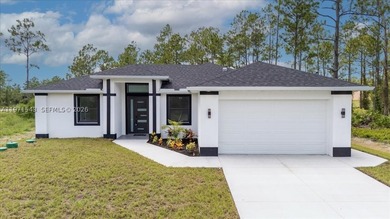 Stunning! New construction home on an oversized 0.62-acre lot - photo 1