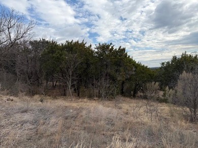 Five acres on the east side of The Hills that backs up to ranch - photo 2