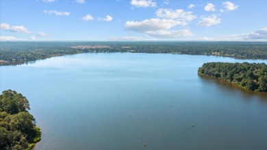 LAKEFRONT DEVELOPMENT OPPORTUNITY -- HOUSTON COUNTY LAKE! - photo 12