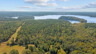 LAKEFRONT DEVELOPMENT OPPORTUNITY -- HOUSTON COUNTY LAKE! - photo 10