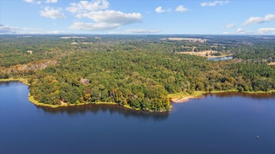 LAKEFRONT DEVELOPMENT OPPORTUNITY -- HOUSTON COUNTY LAKE! - photo 2