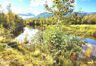 (private lake, pond, creek) Home For Sale in Alexander Alaska