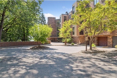 Lake Condo For Sale in Minnetonka, Minnesota