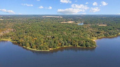 LAKEFRONT DEVELOPMENT OPPORTUNITY -- HOUSTON COUNTY LAKE! - photo 5