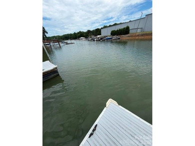 Welcome to your Lake Norman waterfront home! Drought resistant - photo 18