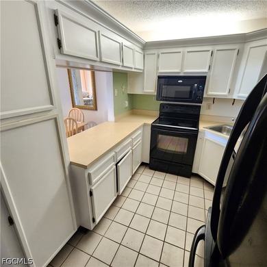 It Is Difficult To Find A Nice Lakefront Condo On The 1st Floor - photo 18