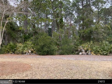 What a great homesite location! Directly across the street from - photo 2