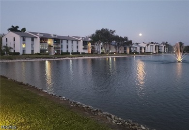 It Is Difficult To Find A Nice Lakefront Condo On The 1st Floor - photo 50