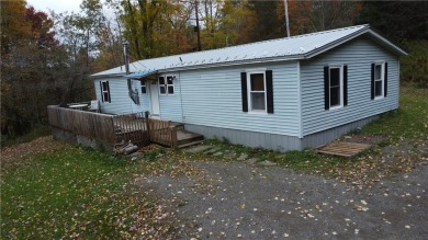 (private lake, pond, creek) Home For Sale in Sidney New York