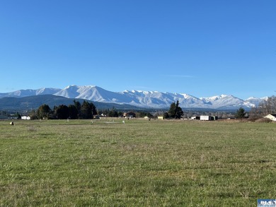 Prime 1 acre building lot with Olympic Mountain View and paved - photo 2