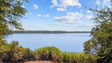 LAKEFRONT DEVELOPMENT OPPORTUNITY -- HOUSTON COUNTY LAKE! - photo 9
