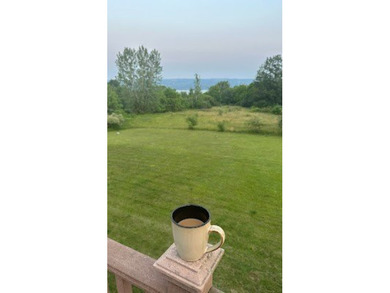 This property is in the heart of the Finger Lakes region of NYS - photo 5