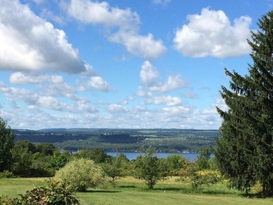 This property is in the heart of the Finger Lakes region of NYS - photo 8