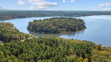 LAKEFRONT DEVELOPMENT OPPORTUNITY -- HOUSTON COUNTY LAKE! - photo 11