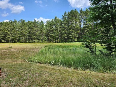 Whiskey Creek Lake Lot For Sale in Custer Michigan